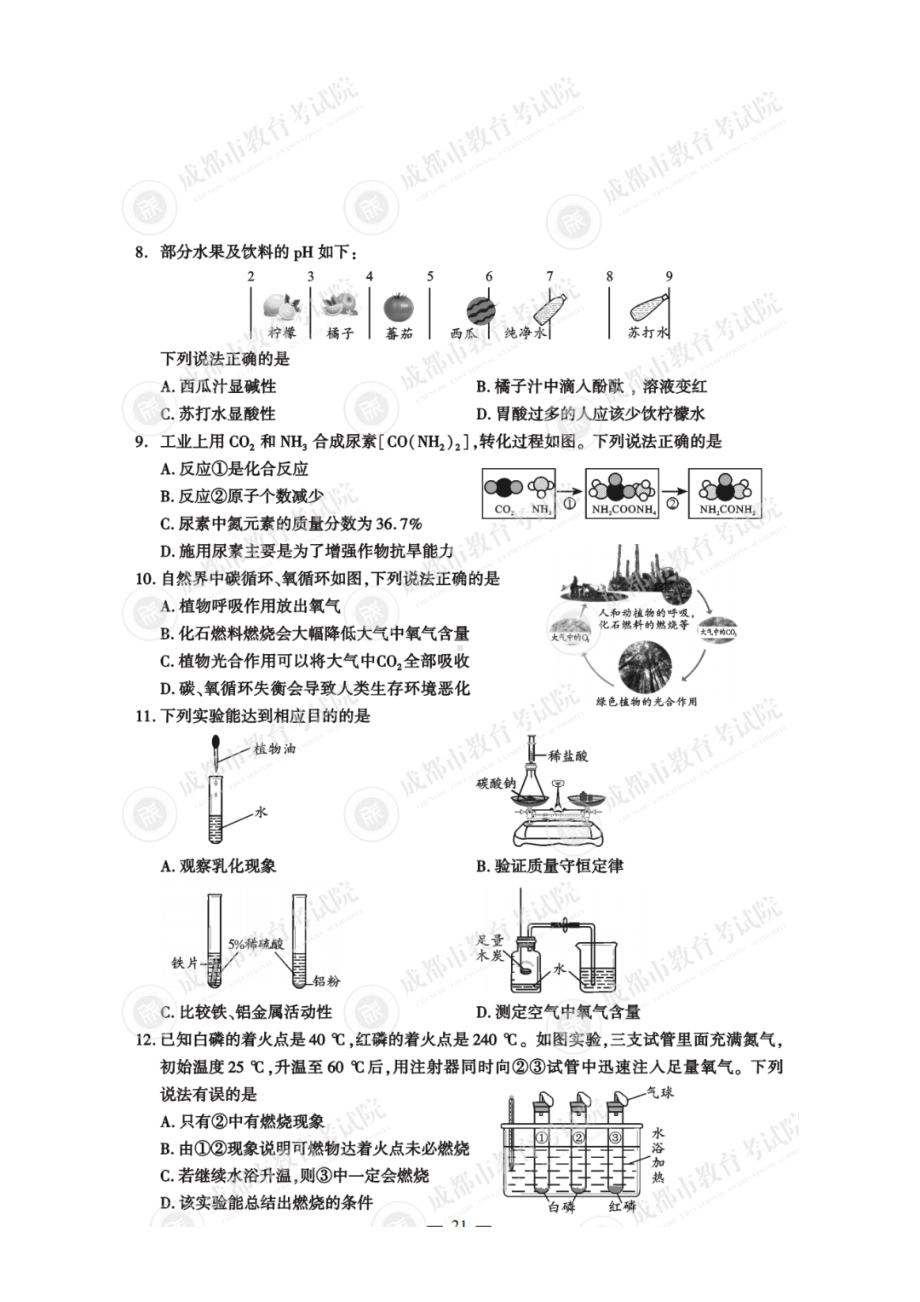 （真题）2022年四川省成都市中考化学真题试卷（PDF版含答案）.pdf_第2页