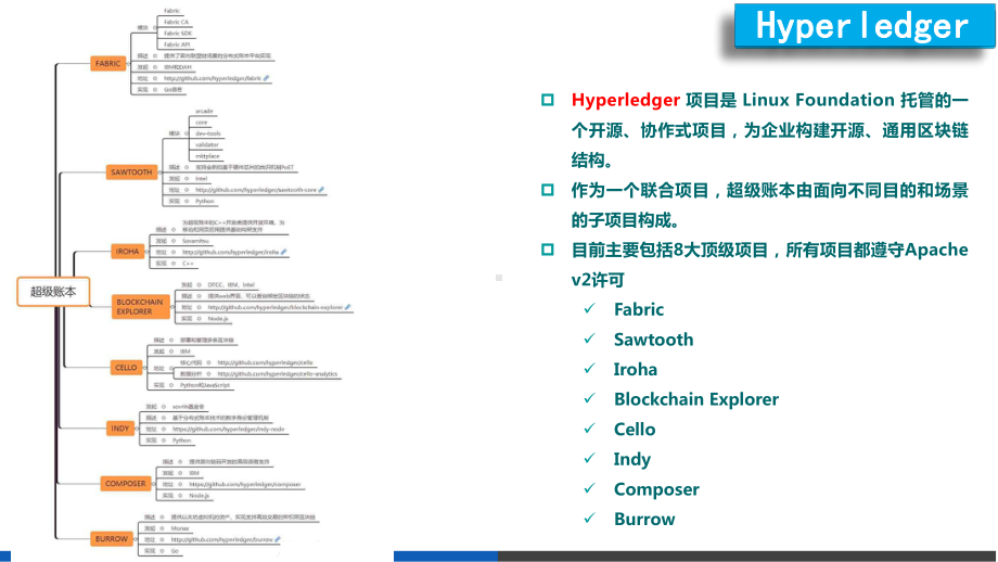 Hyperledger-Fabric关键技术课件.pptx_第3页