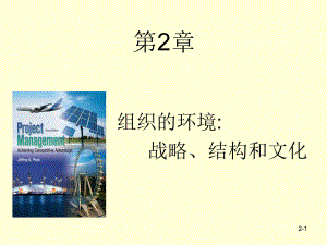 第2章-组织的环境：战略、结构和文化课件.ppt