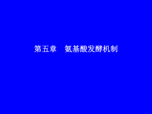 赖氨酸生物合成途径课件.ppt