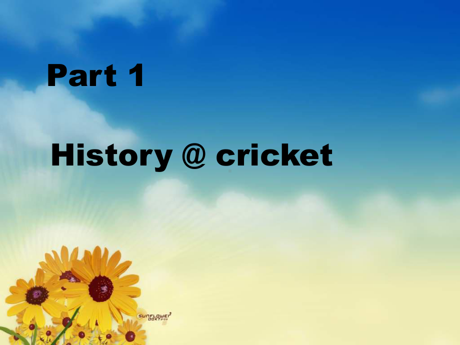 Cricket-4-板球介绍课件.ppt_第2页