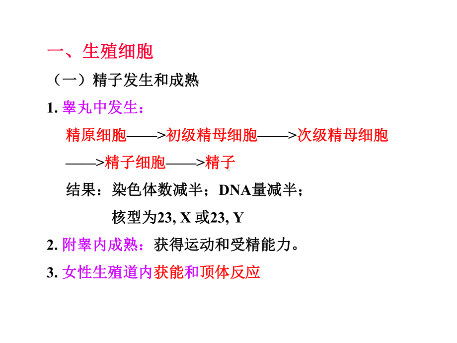 胚层的形成和分化课件.ppt_第2页