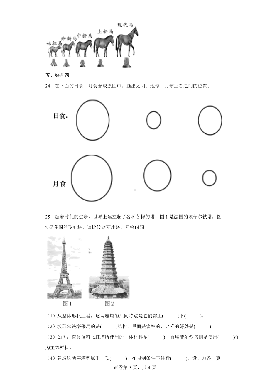 2022新教科版六年级下册科学期末复习试卷（word版 含答案）.docx_第3页