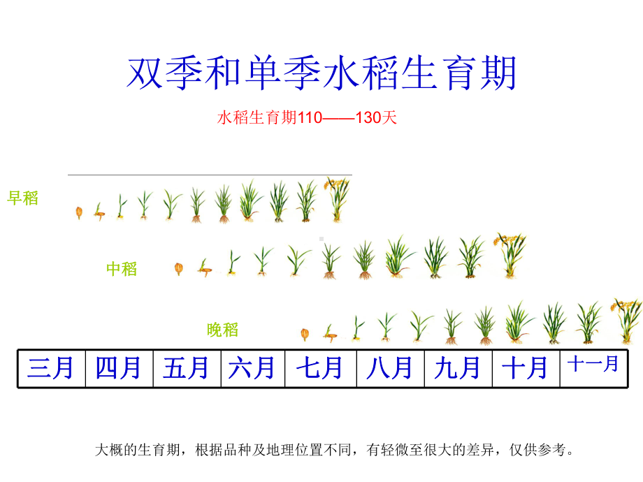 水稻病虫害防治课件.ppt_第2页