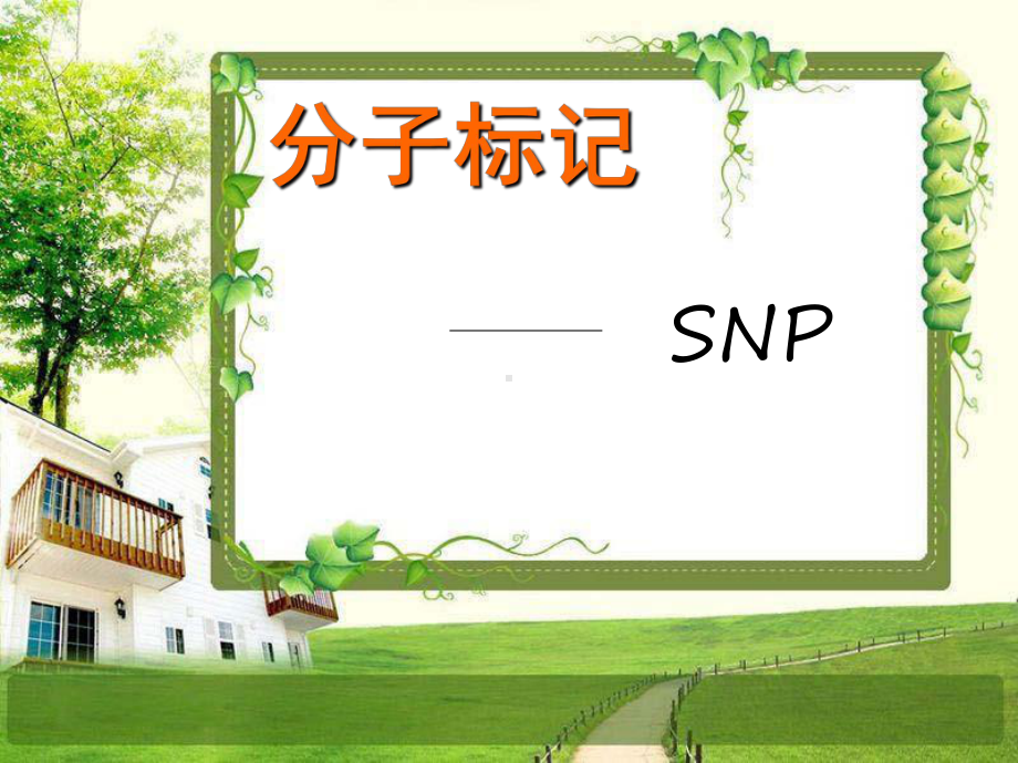 分子标记—SNP课件.ppt_第1页