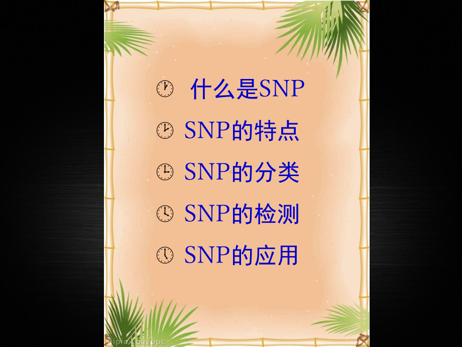 分子标记—SNP课件.ppt_第2页