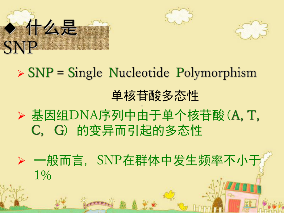 分子标记—SNP课件.ppt_第3页