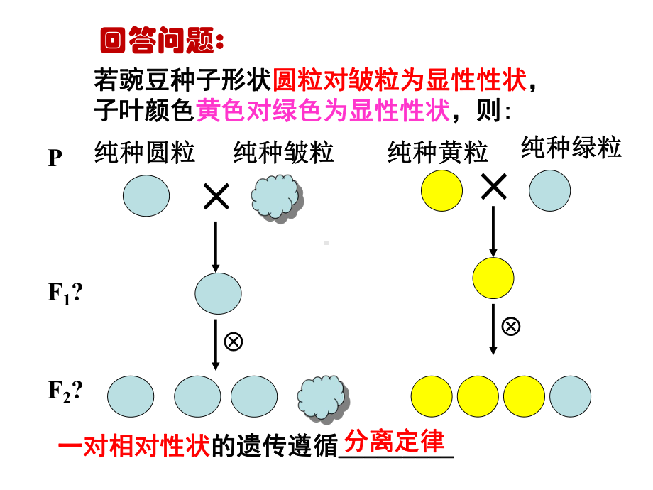 F2的遗传因子组成基因型-牡丹江一中课件.ppt_第2页