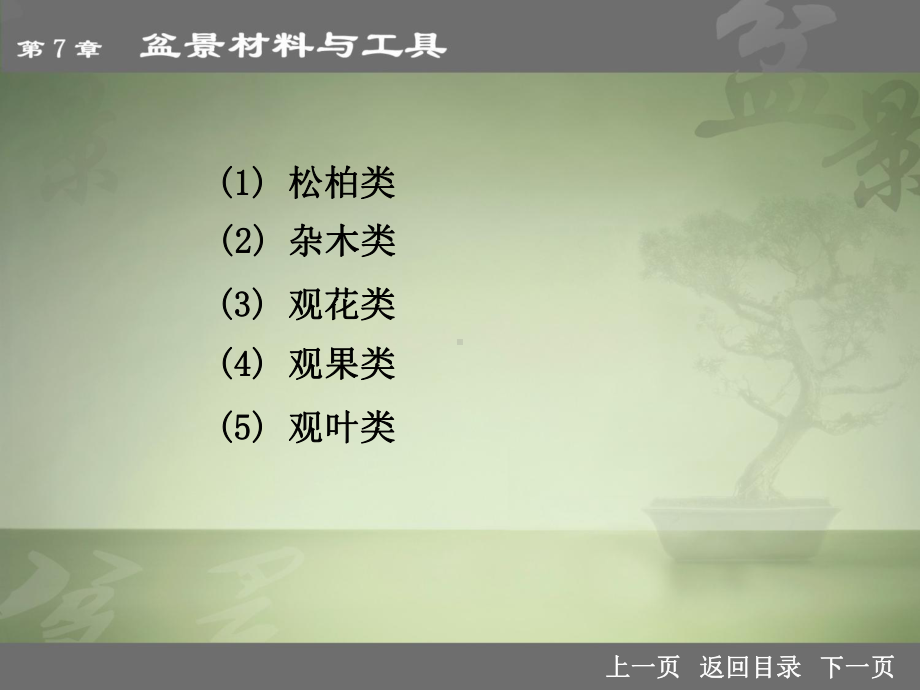 07盆景材料课件.ppt_第3页