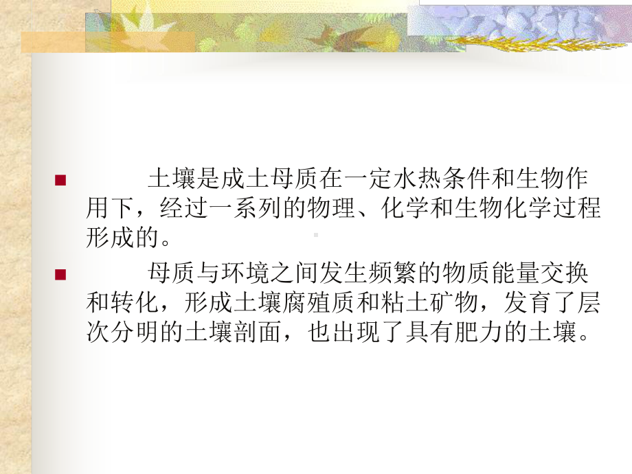 第二节土壤形成与地理环境的关系课件.ppt_第2页