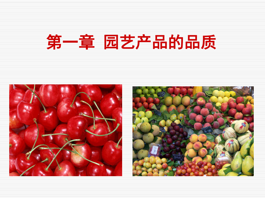 园艺产品的品质概述(PPT-93页)课件.ppt_第1页