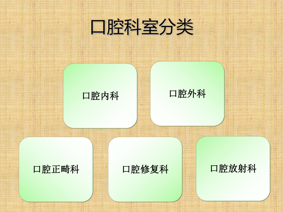 口腔基础知识精编版课件.ppt_第3页