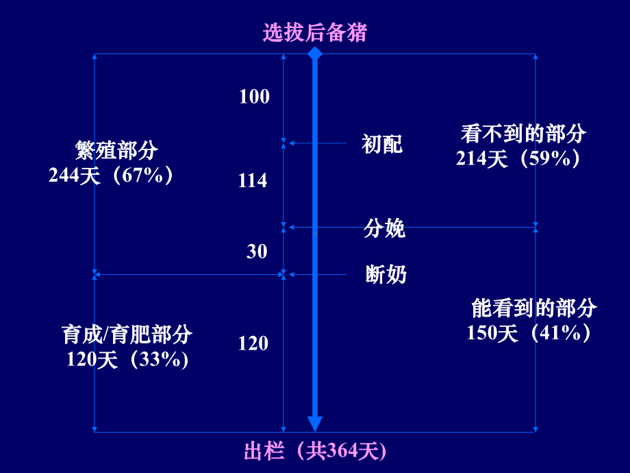 《母猪的饲养管理》PPT幻灯片课件.ppt_第2页