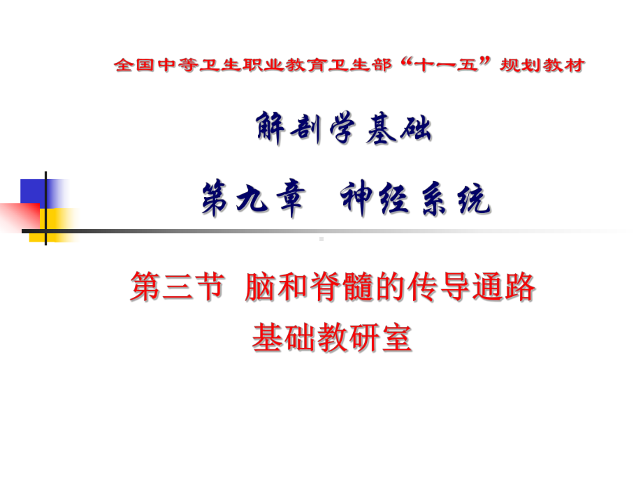 躯干和四肢的浅感觉传导通路课件.ppt_第1页