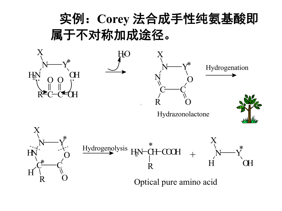 第九章不对称合成课件.ppt_第3页