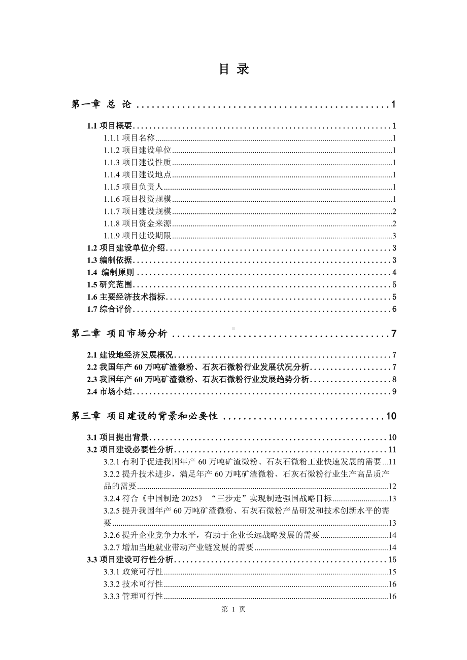 年产60万吨矿渣微粉、石灰石微粉项目可行性研究报告建议书案例.doc_第2页