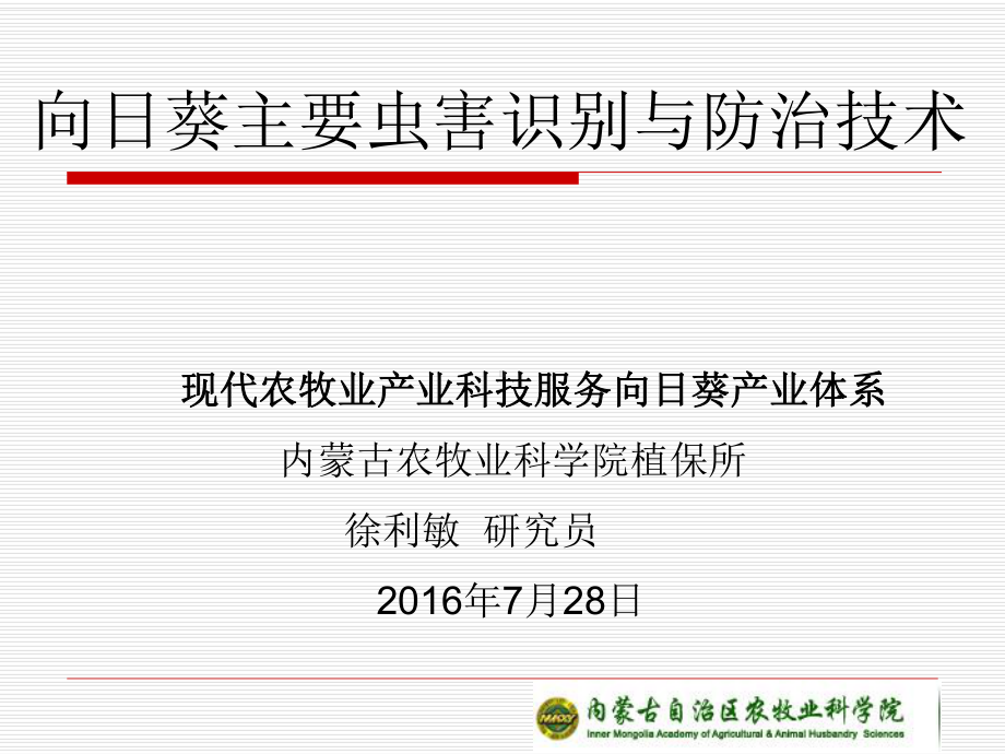 向日葵主要虫害识别与防治课件.ppt_第1页