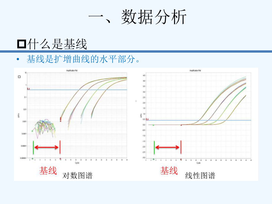 实时荧光定量PCR数据分析及常见问题分析课件.pptx_第3页