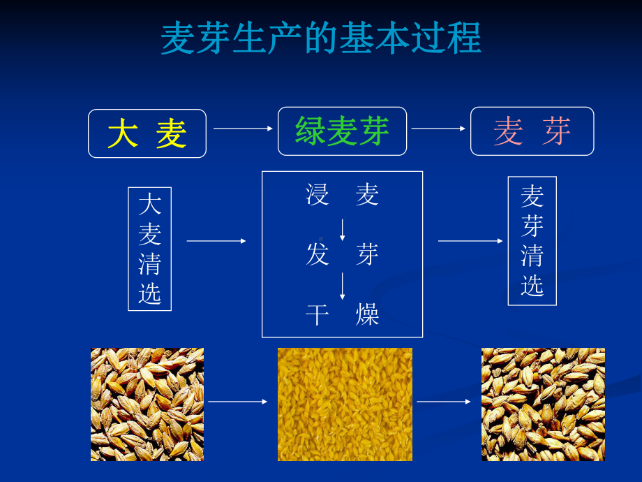 麦芽生产过程介绍课件.ppt_第2页