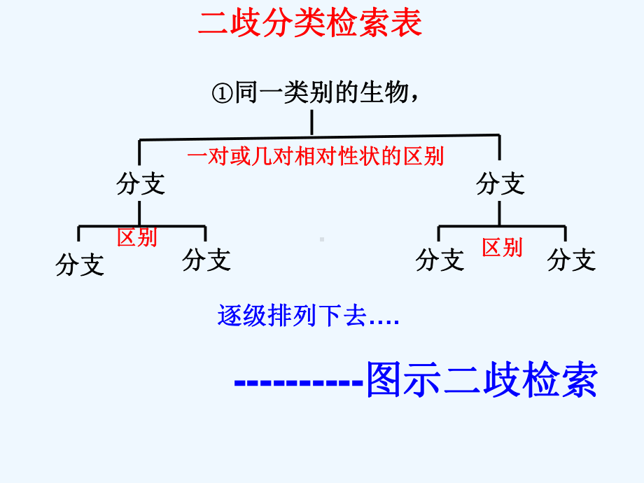 常见动物(无脊椎动物二歧分类检索表)课件.ppt_第3页