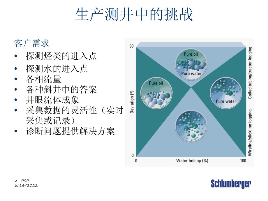 斯伦贝谢生产测井服务平台(PS-Platform课件.ppt_第2页