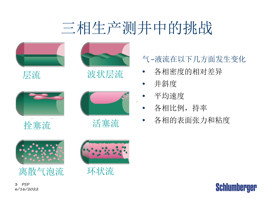 斯伦贝谢生产测井服务平台(PS-Platform课件.ppt_第3页