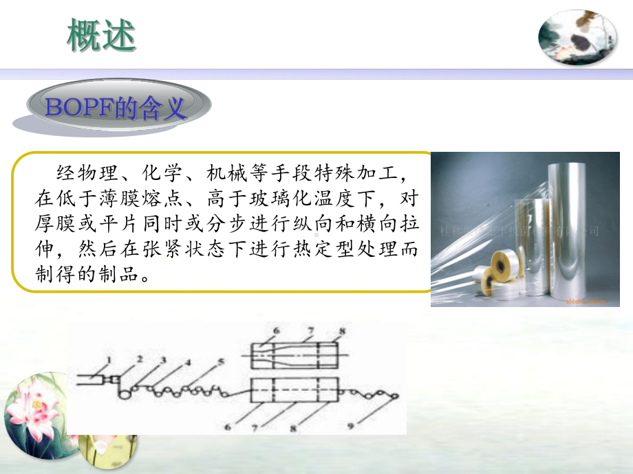 双向拉伸薄膜课件.ppt_第3页