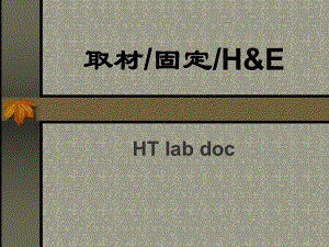 组织取材、固定和常规H&E染色课件.ppt