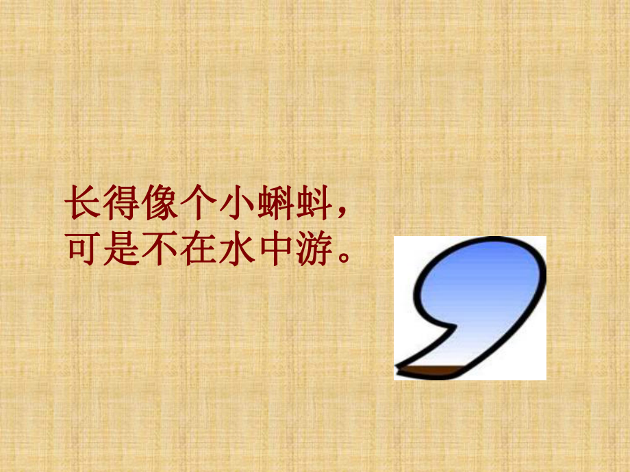 一年级标点符号(确定)精编版课件.ppt_第3页