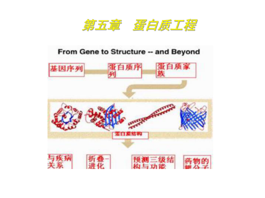 生物技术概论5蛋白质工程课件.pptx_第1页