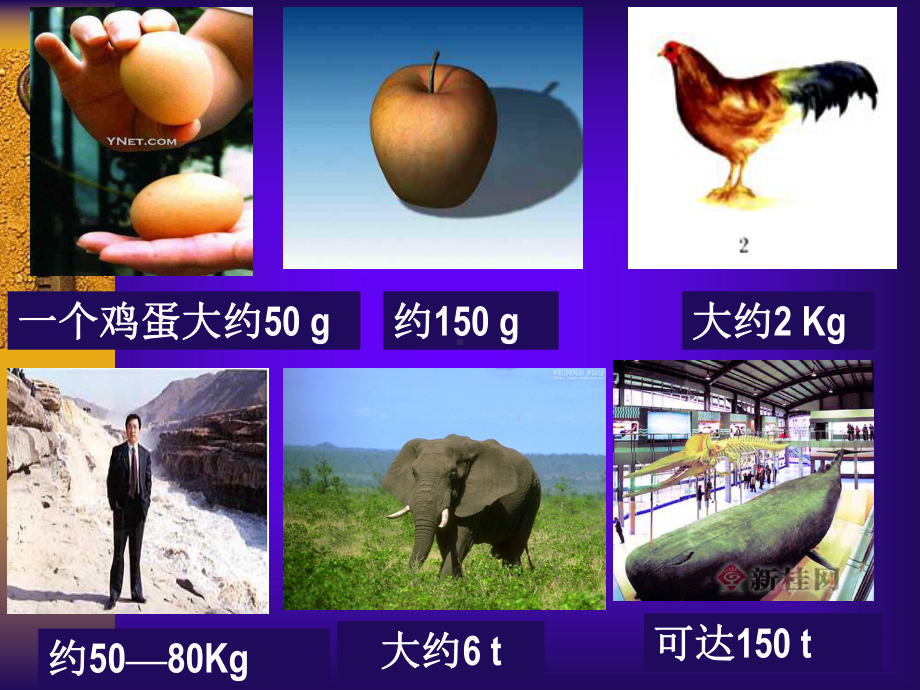 物质能量信息课件.ppt_第2页