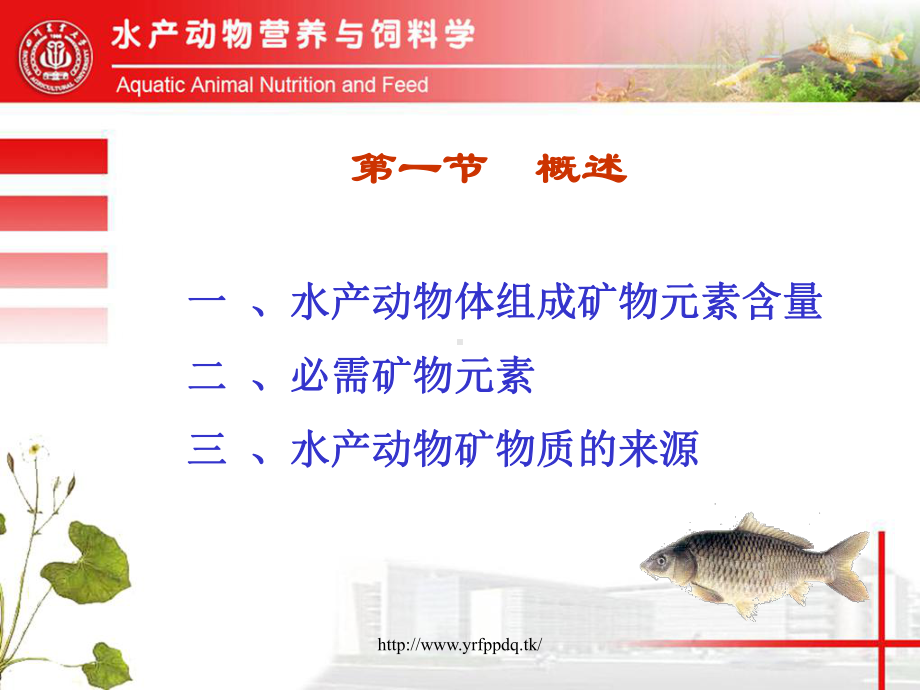 水生动物矿物质营养课件.ppt_第3页