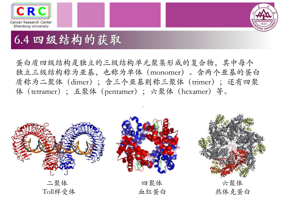 蛋白质分子对接-山东大学课程中心课件.ppt_第3页