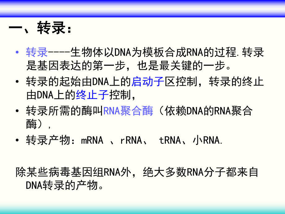 第九章RNA的生物合成和加工课件.ppt_第3页