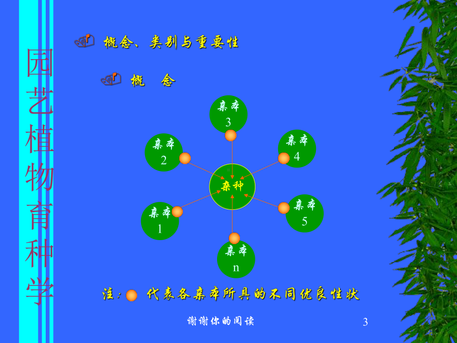 园艺植物育种学.pptx课件.pptx_第3页