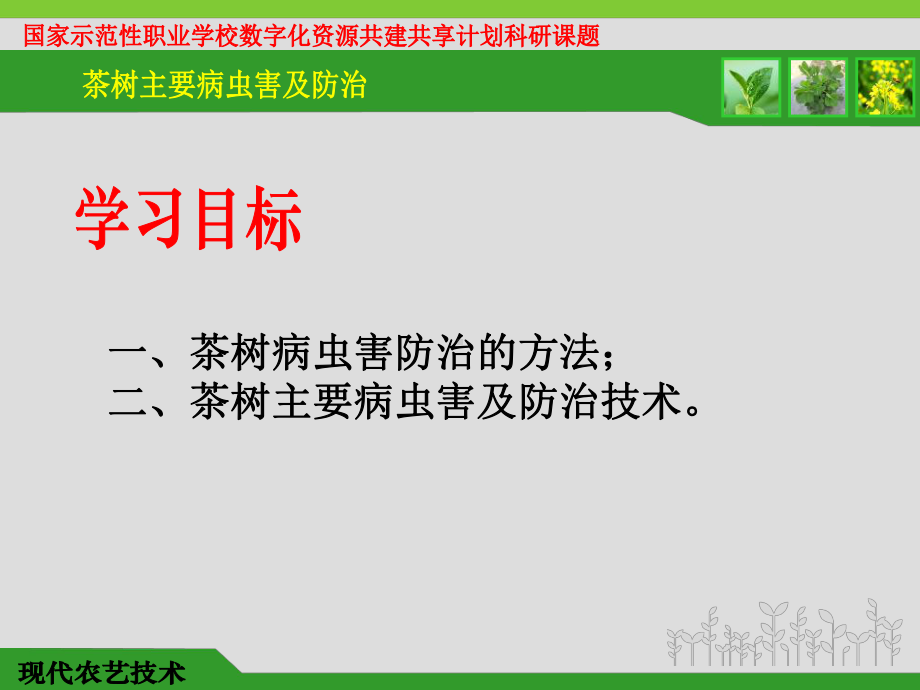 茶树主要病虫害及防治技术课件.ppt_第2页