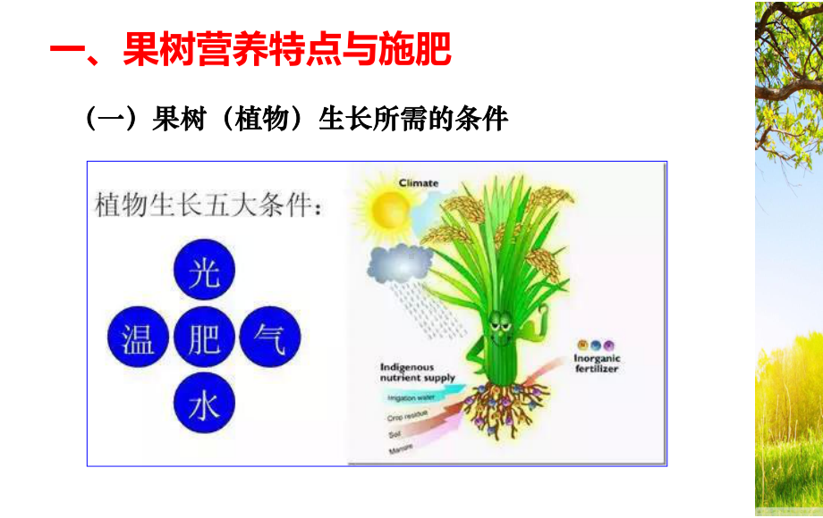 果树水肥一体化技术课件.ppt_第3页