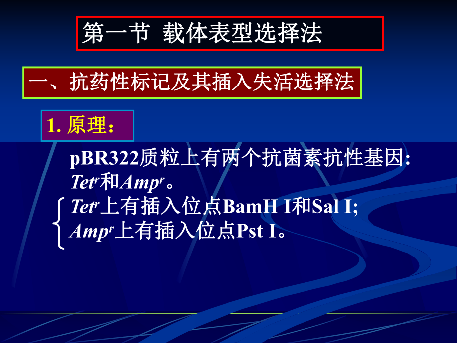 氨苄青霉素抗性基因课件.ppt_第3页