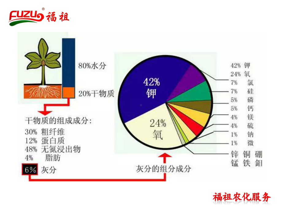 植物营养元素的基础知识汇总课件.ppt_第3页