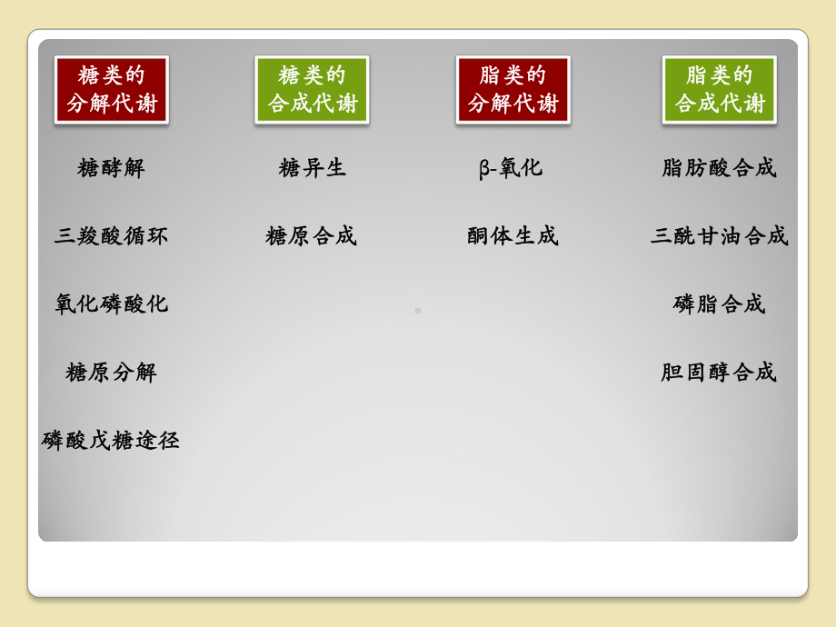 氨基酸的代谢途径课件.ppt_第2页