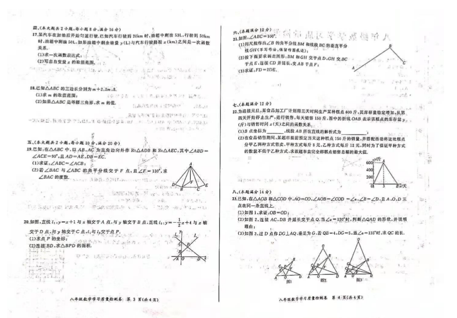 安徽省合肥市瑶海区2021-2022学年八年级上学期期末数学试题.pdf_第2页