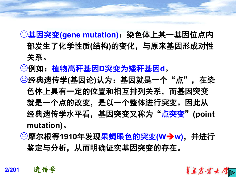 第四章基因突变及突变的分子基础课件.ppt_第2页