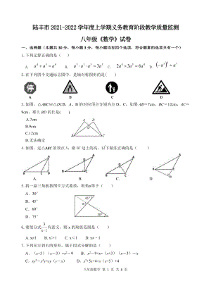 广东省汕尾市陆丰市2021-2022学年八年级上学期期末考试数学试题.pdf