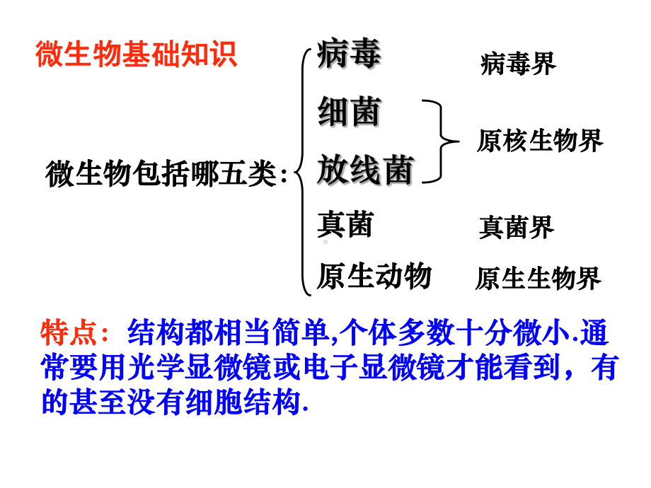 形成一个细菌菌落课件.ppt_第3页