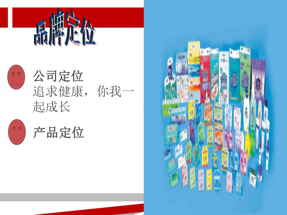 恒安集团战略品牌管理流程课件.ppt_第3页