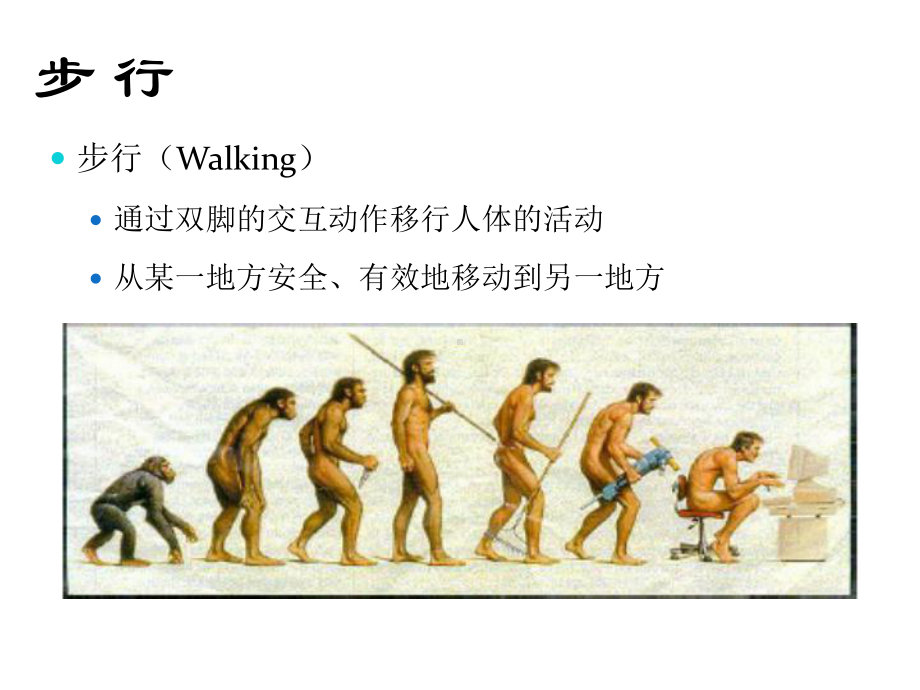 步态分析-推荐课件.ppt_第3页