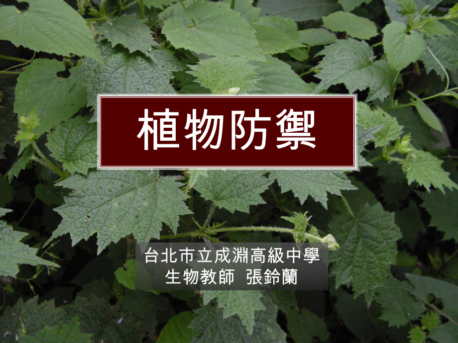 植物面对病虫害的防御机制课件.ppt_第1页