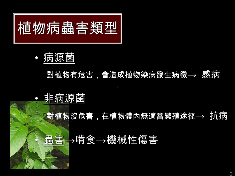 植物面对病虫害的防御机制课件.ppt_第2页