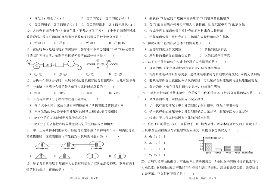 山西省长治市第四 2021~2022 学年高一下学期期中生物试卷.pdf_第2页