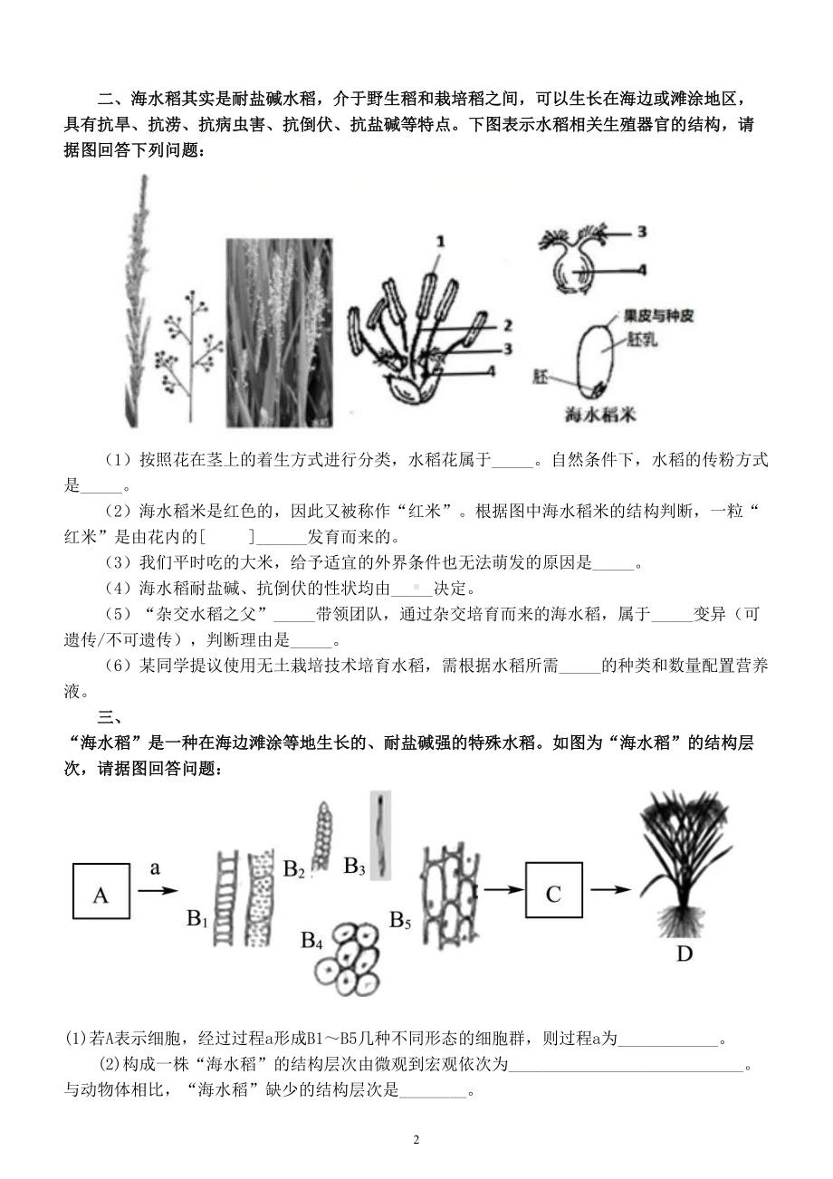 初中生物会考中考热点练习（与袁隆平海水稻有关的试题）（附参考答案）.doc_第2页